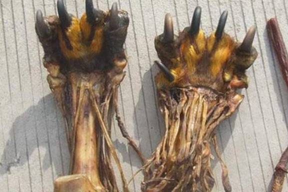 在市場上，這六種東西很難買到真貨