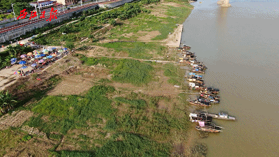 肥美的河鮮哪里買？今天，帶你橫掃肇慶河鮮市場