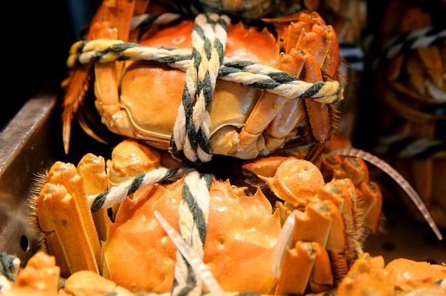 盤錦河蟹現(xiàn)在多少錢一斤盤錦河蟹春節(jié)能吃嗎？春節(jié)能買到河蟹嗎