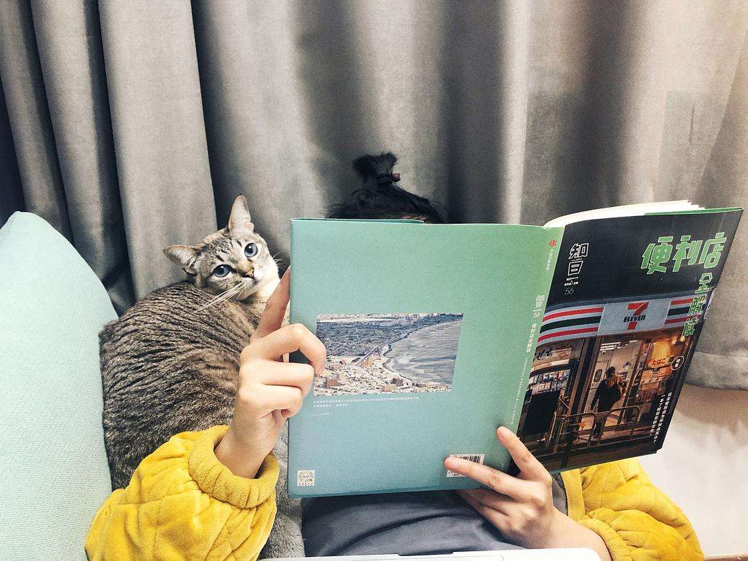 什么牌子的貓糧比較好呢？