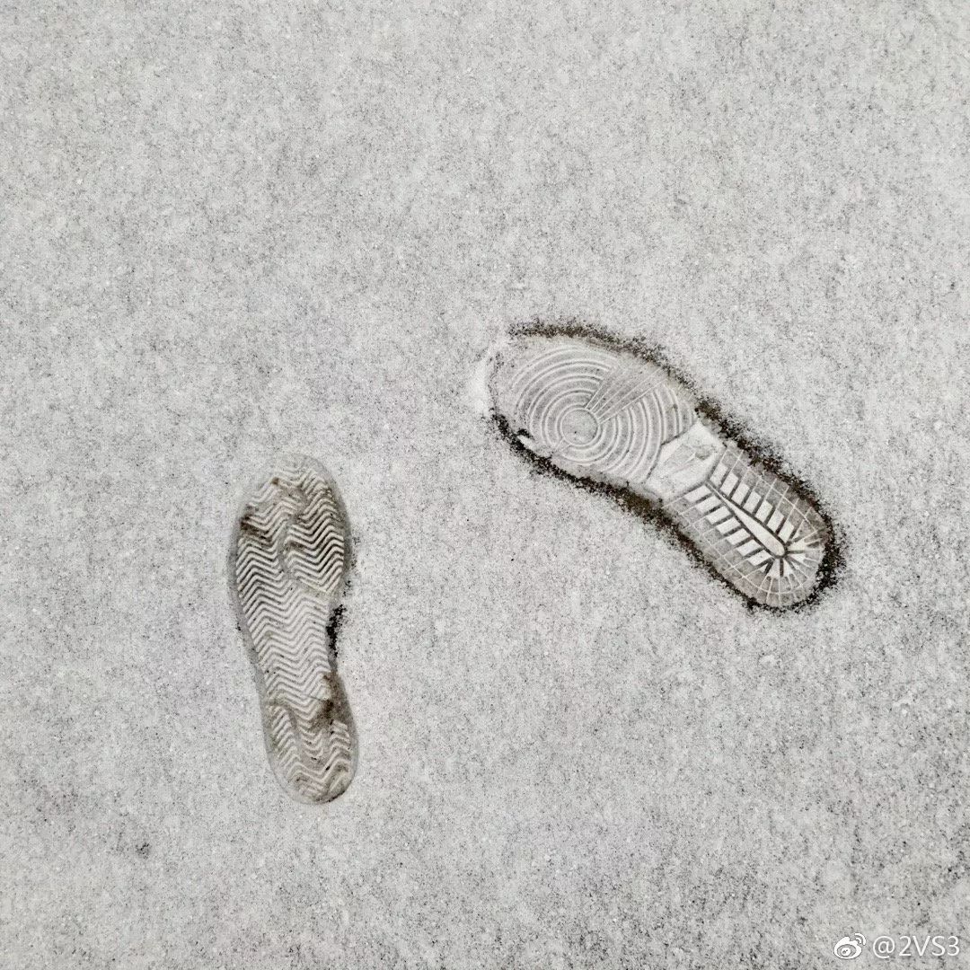 她第一次見到這么大的雪.jpg 她第一次見到這么大的雪.jpg