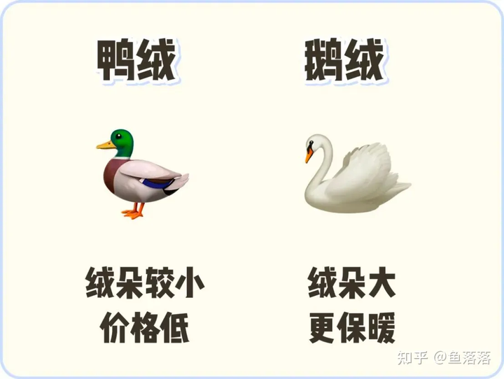 鵝絨比鴨絨更保暖.png