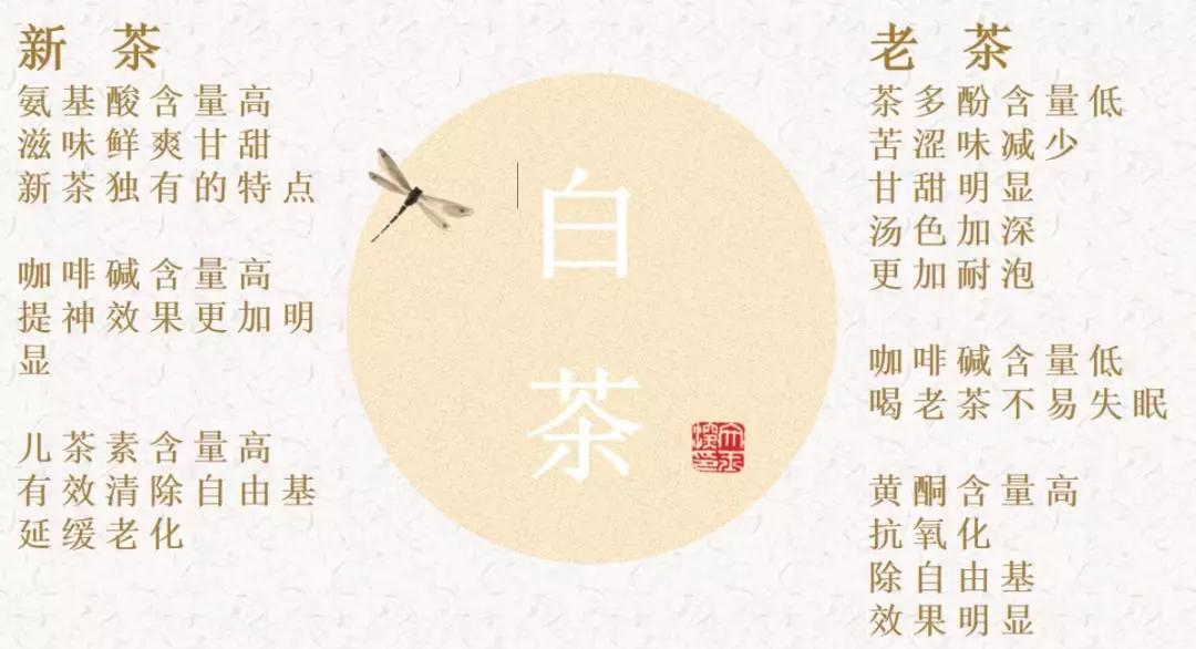 福鼎白茶，到底新白茶與老白茶哪個好？